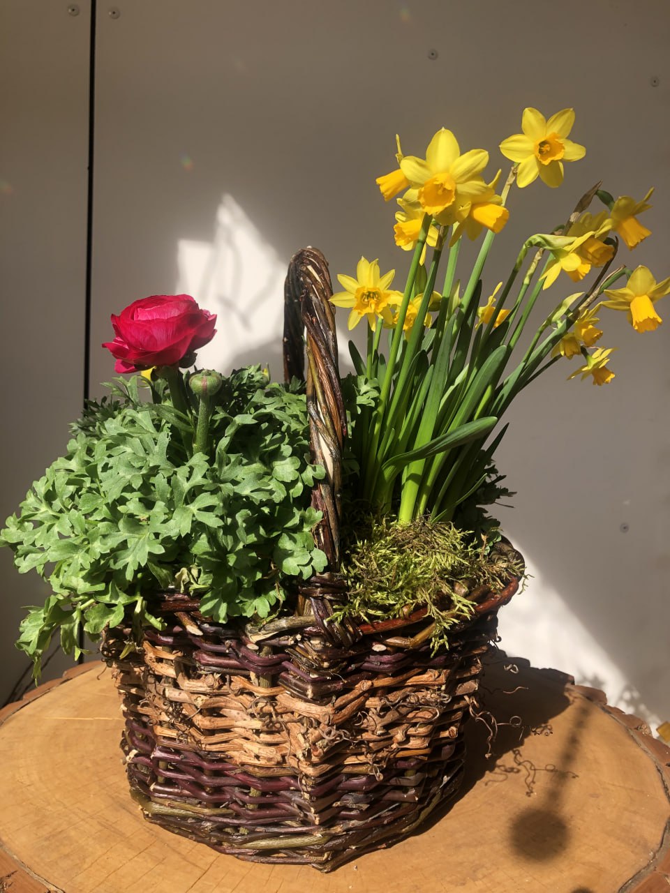 Henkelkorb natur Ø31cm H38cm
