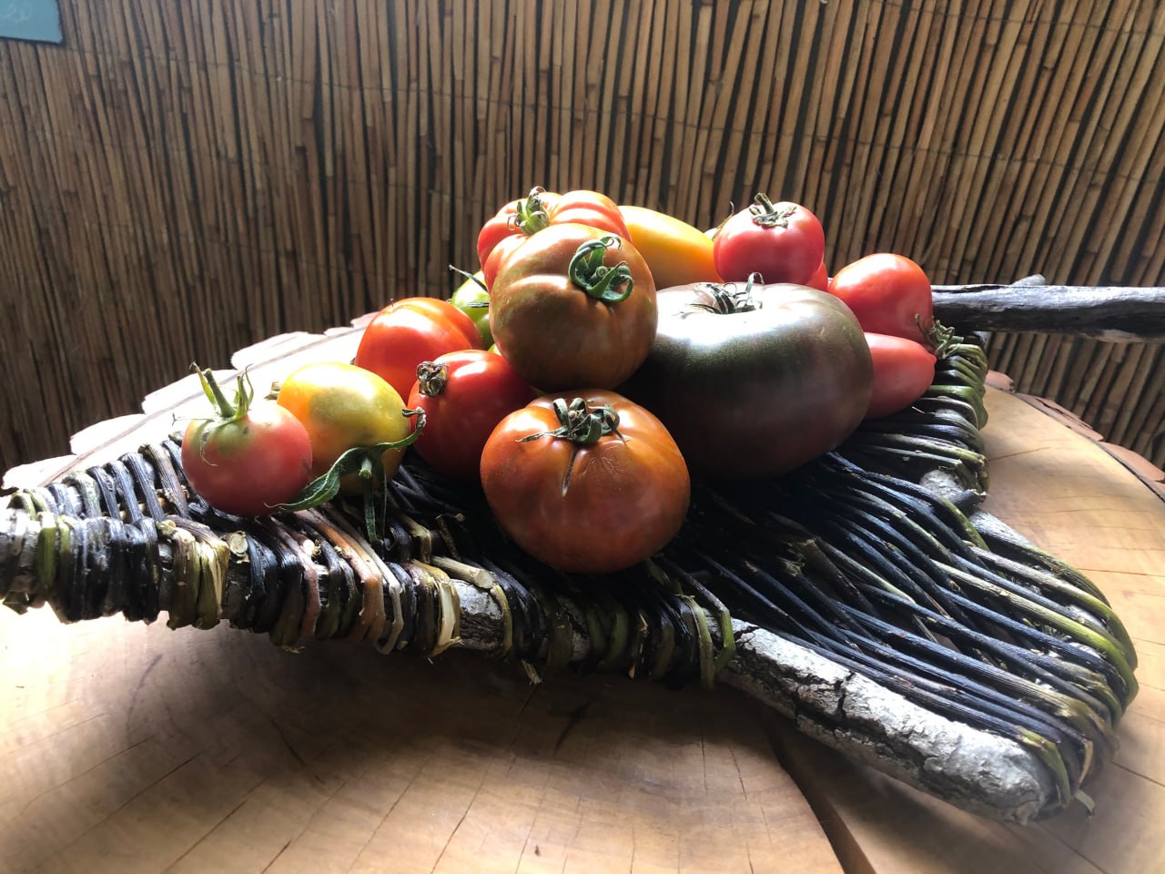 Deko-/Obstschale 65x42cm
